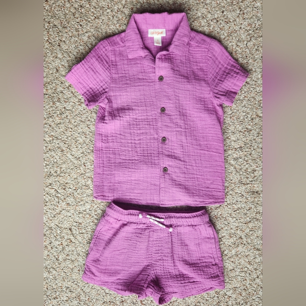 Cat & Jack 3T Linen Set - purple cotton